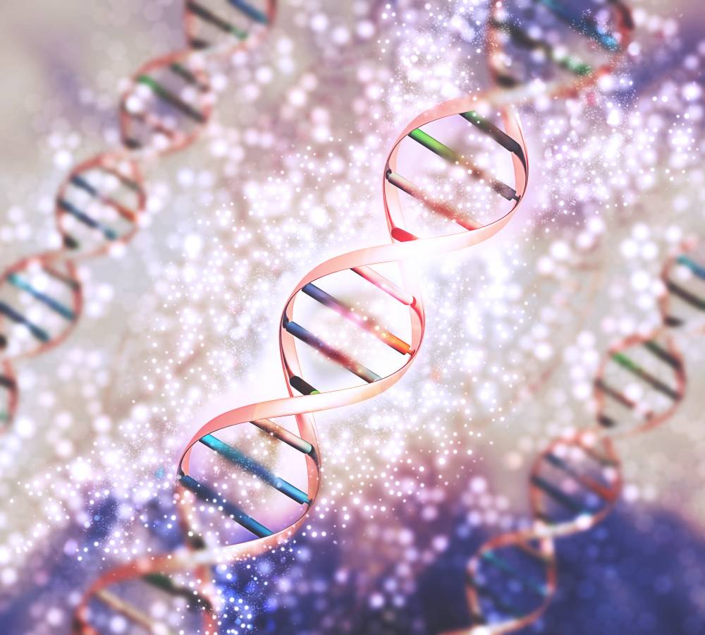 Discovering Genome-Wide Chromatin Connections: Multiplex-GAM vs. Hi-C Showdown!
