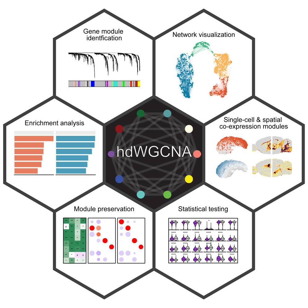 Unlocking New Insights in Alzheimer's Disease: UC Irvine Neuroscientists Develop the 'Meta-Cell'