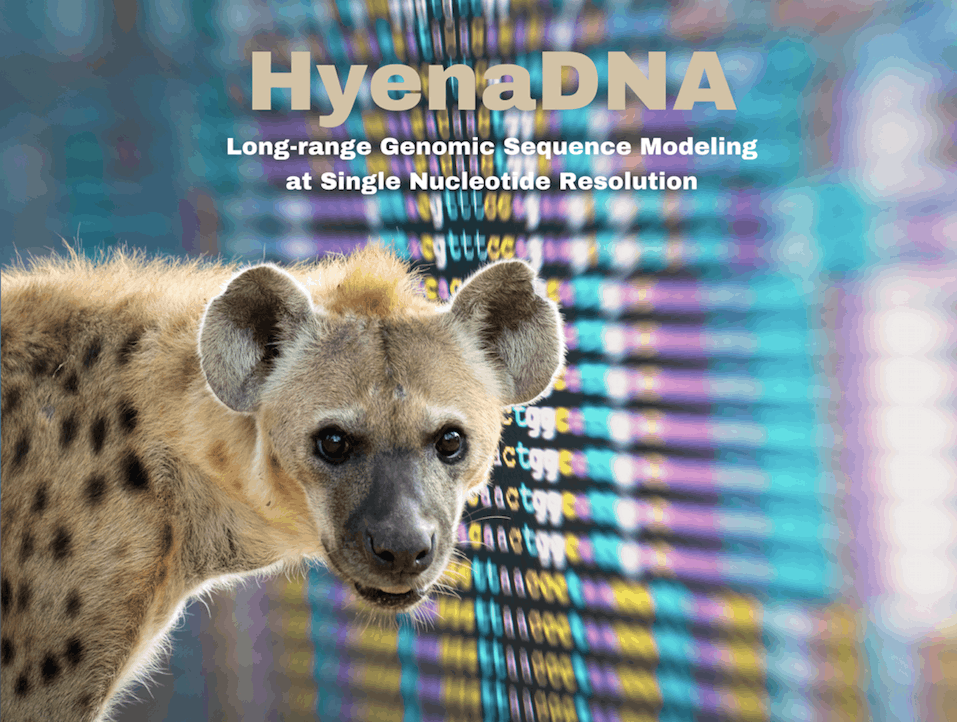 HyenaDNA Powers Long-Range Genomic Sequence Modeling at Single Nucleotide Resolution