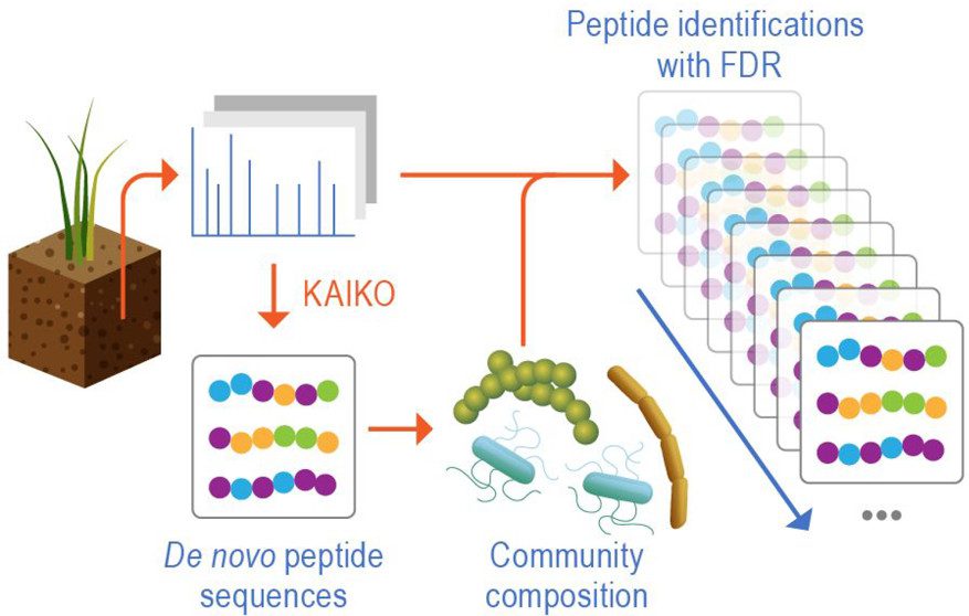 Decoding the Microbial Orchestra: A Breakthrough in Metaproteomic Data Analysis and Soil Microbiome