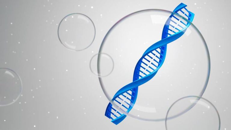 Decoding the Epigenomic Puzzle: Evaluating Computational Pipelines for Single-cell Histone Modification Data
