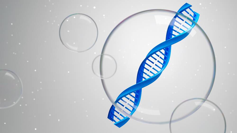 Decoding the Epigenomic Puzzle: Evaluating Computational Pipelines for Single-cell Histone Modification Data