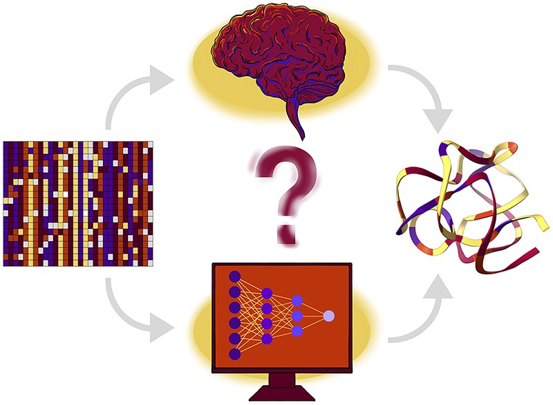 Achieving RNA's AlphaFold Moment: How Close Are We?