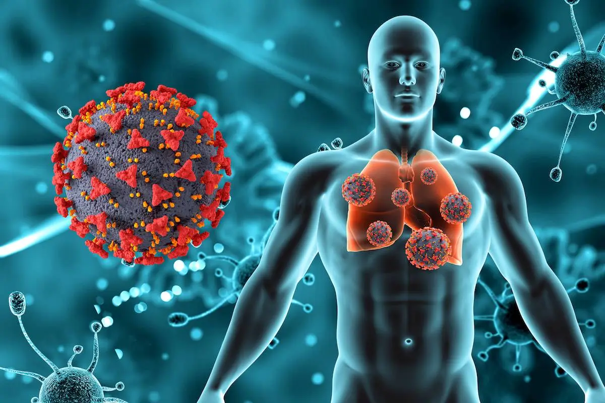 Machine Learning and Phylogenetic Analysis Join Forces to Predict Antibiotic Resistance in Pathogenic Bacteria