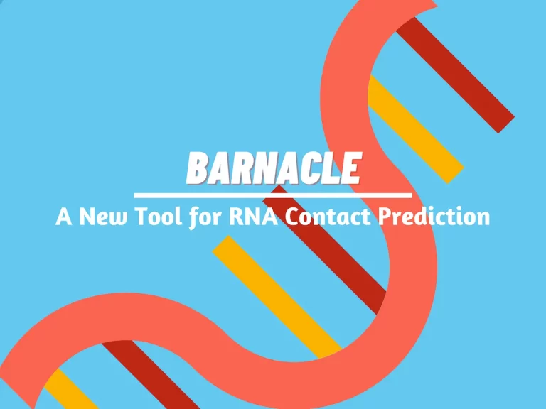Meet BARNACLE: A New Tool to Predict RNA Contacts using Data Efficient Deep Learning