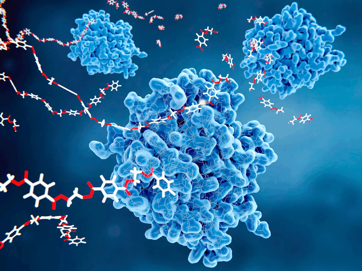 Using EzMechanism to Unravel the Mysteries of Enzyme Catalysis