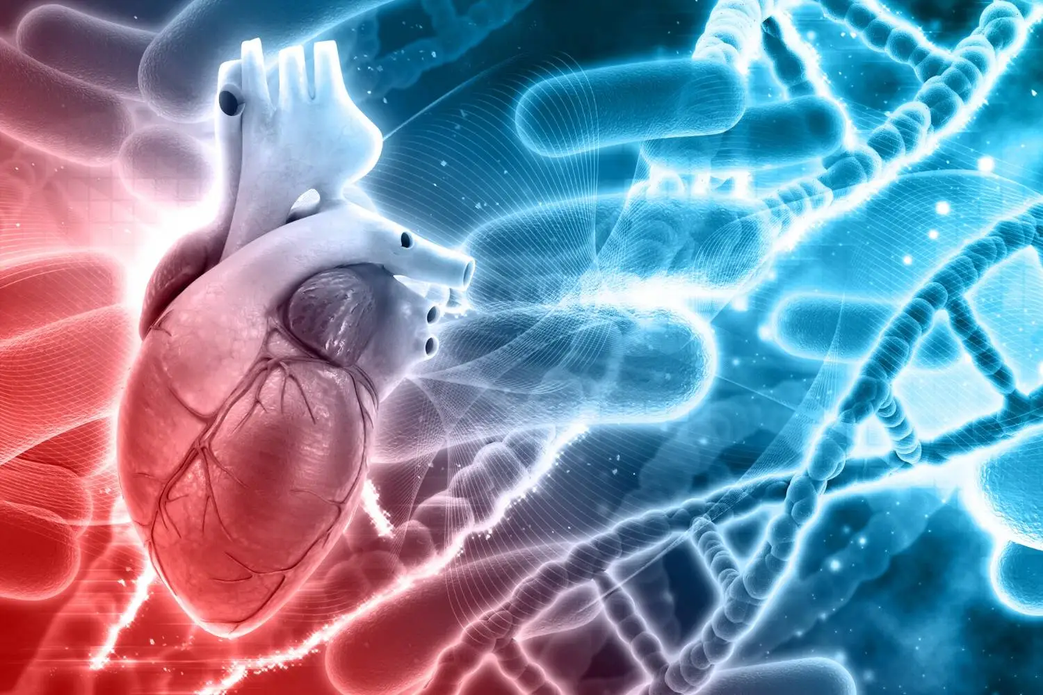 Machine Learning Modeling Helps Uncover Links Between Gut Microbiome and Heart Failure