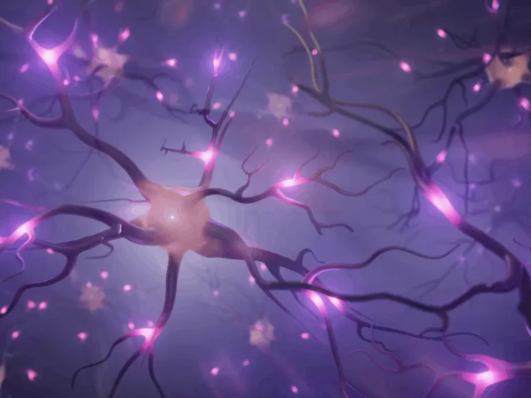 Researchers Develop Neural Network for Genomics that can Explain its Prediction Accuracy