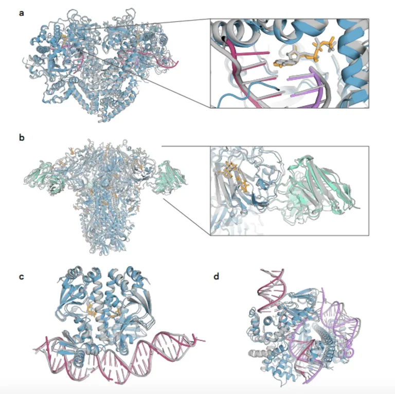 The AlphaFold Revolution Continues: Unraveling the Next-Gen Advancements