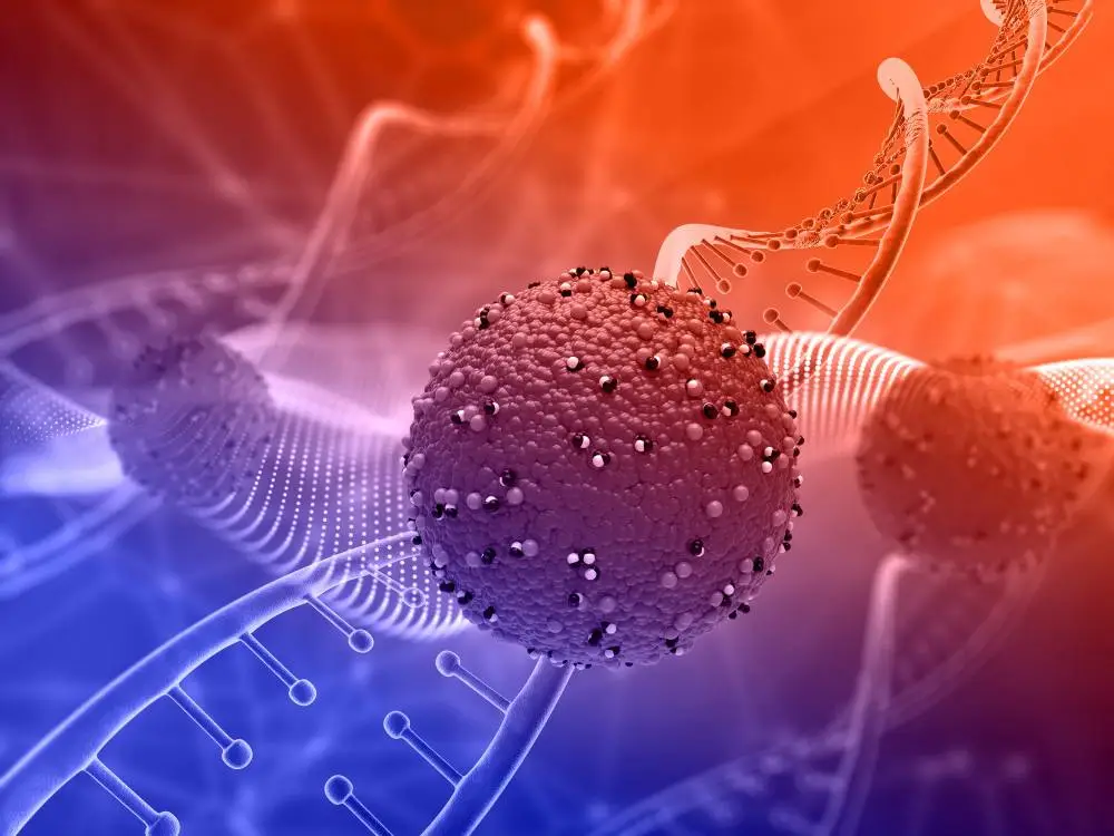 Machine Learning Can More Accurately Predict Cancer Patient Survival