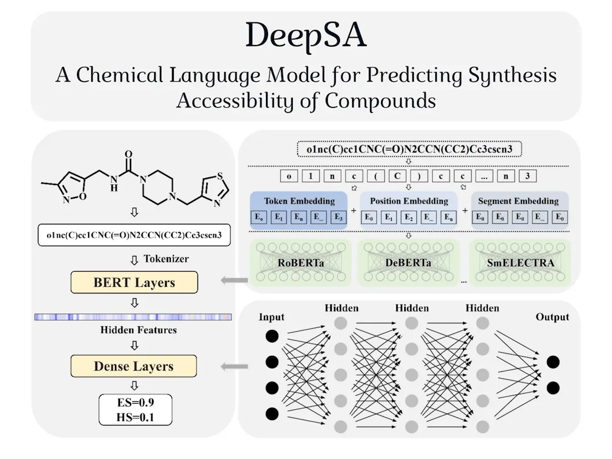 DeepSA: A Cutting-edge Chemical Language Model for Compound Synthesis Accessibility Prediction