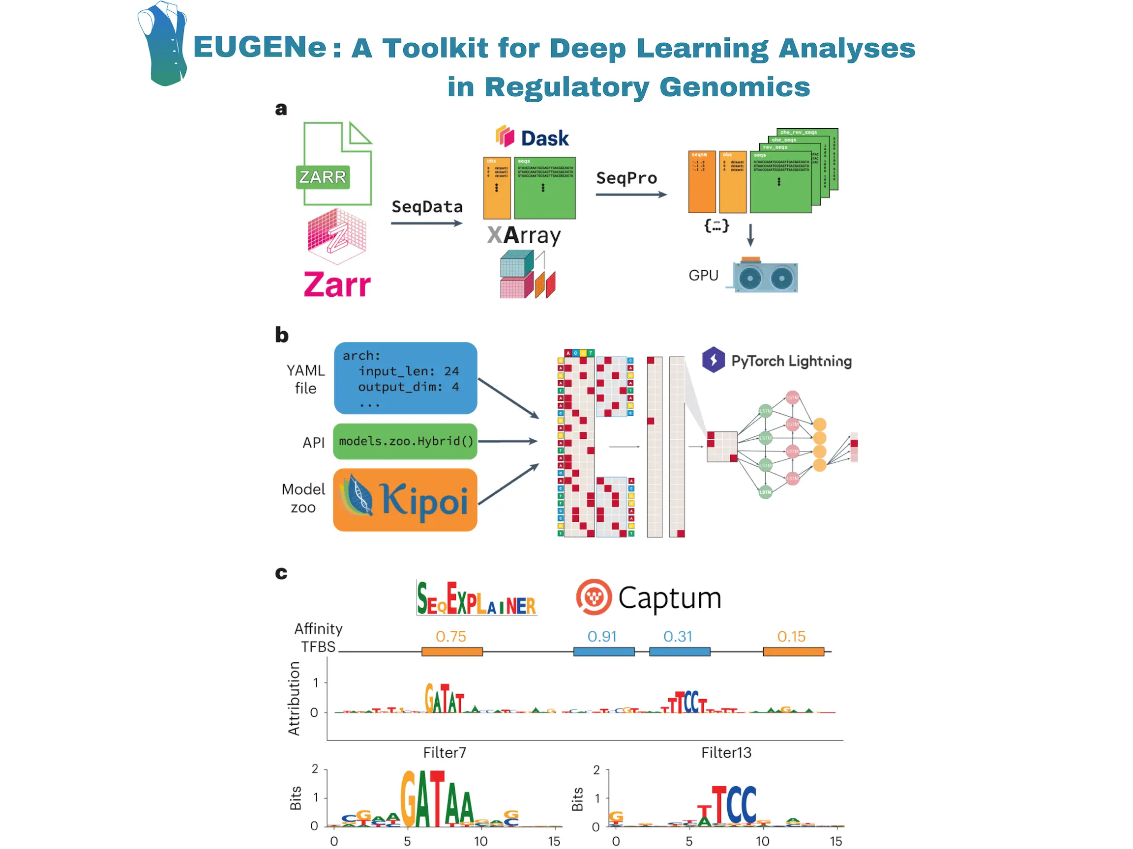 EUGENe: A New Deep Learning Toolkit to Decode the Regulatory Genome