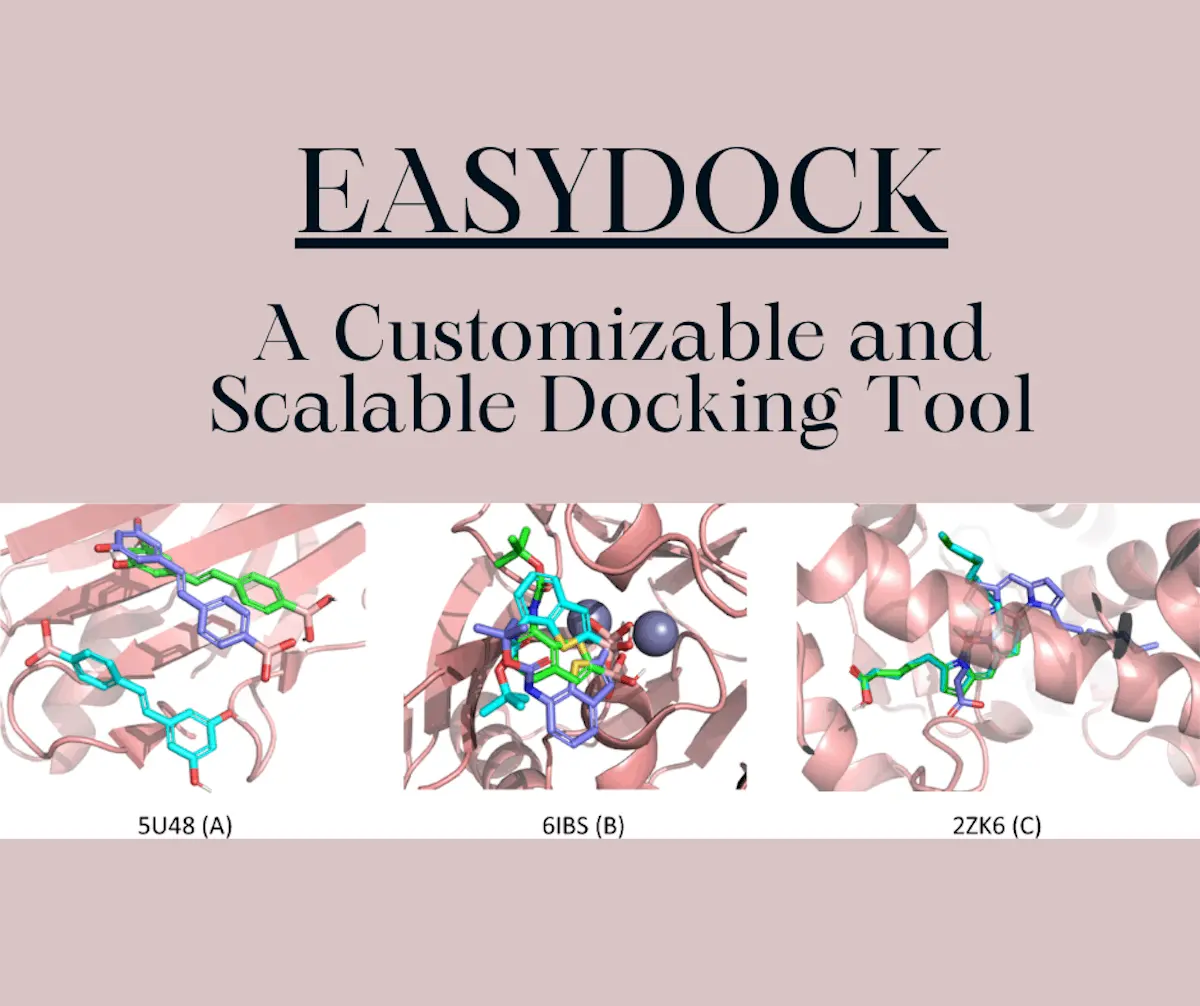 EasyDock: A Scalable and User-friendly Tool for High-Throughput Molecular Docking