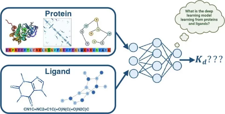 Decoding the Protein-Ligand Enigma: A Deep Dive into Deep Learning Approaches for Binding Affinity Prediction