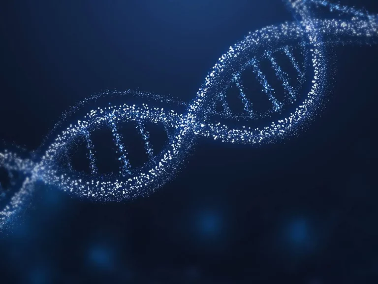 Demystifying the Genetic Architecture of Proteins through Massive Experimental Exploration