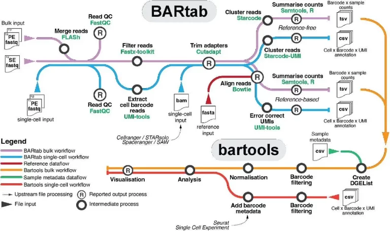 BARtab and Bartools: Revolutionizing Cellular Barcoding Analysis in Genomics Research