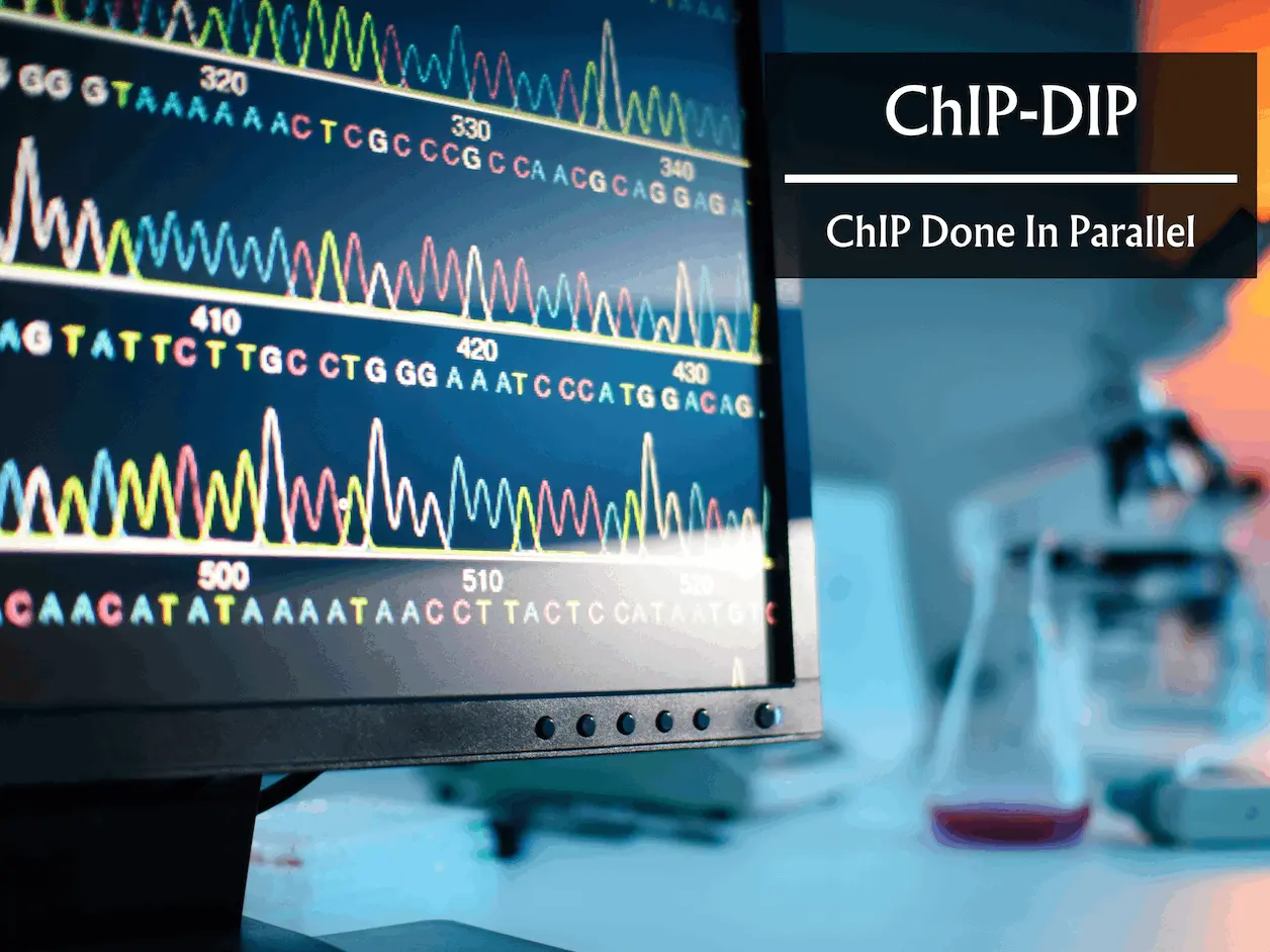 ChIP-DIP Multiplexing Method Maps Hundreds of Proteins to DNA Decoding Gene Expression Regulation