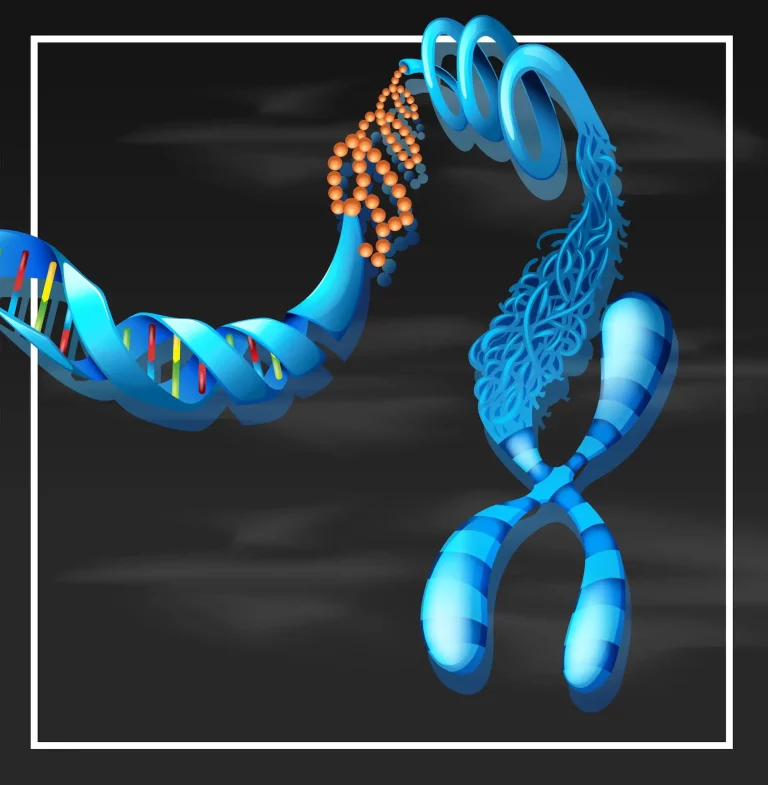 CReATiNG Synthetic Chromosomes in Yeast Opens New Possibilities in Synthetic Biology