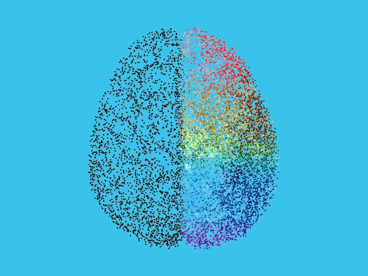 Unlocking the Mysteries of the Mammalian Brain: A Comprehensive Atlas Reveals Surprising Cellular Diversity
