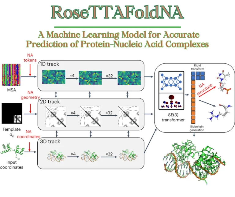 Decoding the Dance of Proteins and Nucleic Acids: Machine Learning Empowers Protein-Nucleic Acid Complexes Prediction with RoseTTAFoldNA