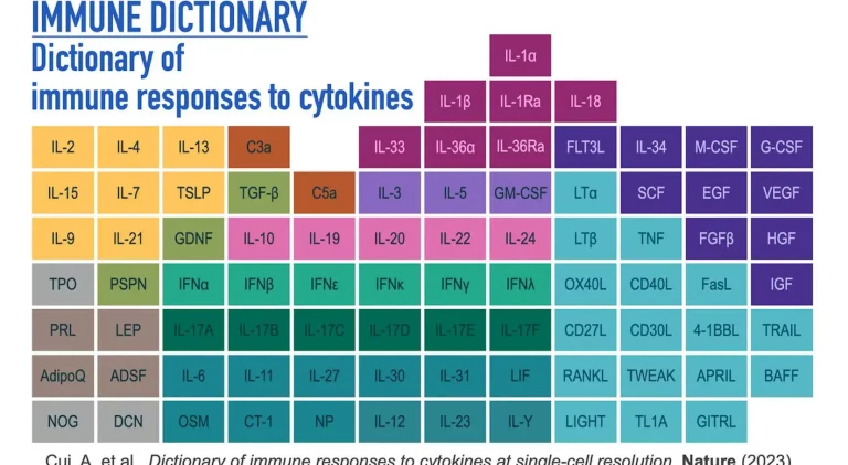 Immune Dictionary: Broad Institute Researchers Unveil a New "Dictionary" of Immune Responses to Cytokines at Single-Cell Resolution
