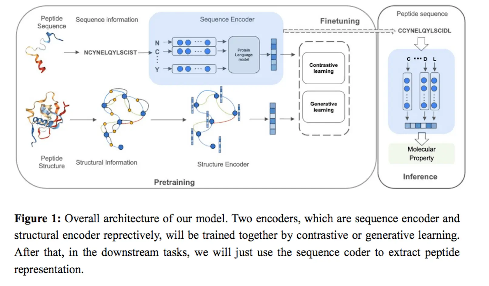 Meet PepHarmony: An Integrated Sequence and Structure-based Peptide Encoding Framework Employing Multi-view Contrastive Learning