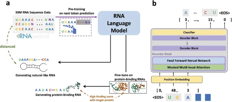 Unlocking the Potential of RNA Design with Generative AI using GenerRNA