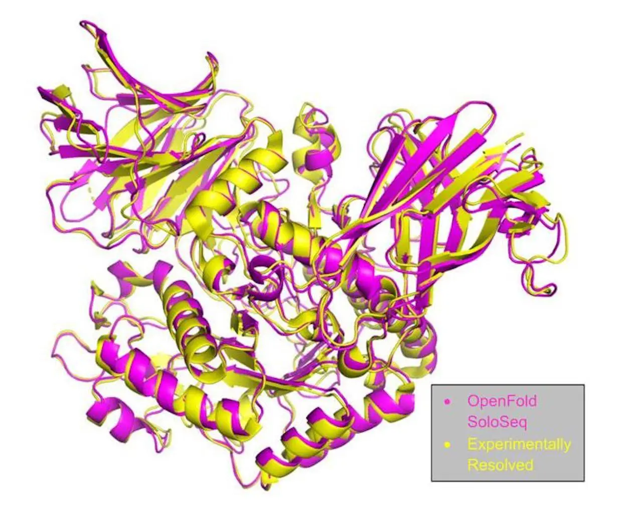 OpenFold Unveils SoloSeq and OpenFold-Multimer: Advancing AI in Protein Structure Analysis