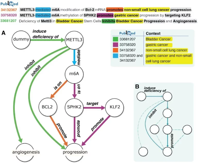 reguloGPT Unleashed: GPT-Powered Knowledge Graphs Illuminate Molecular Regulatory Pathways