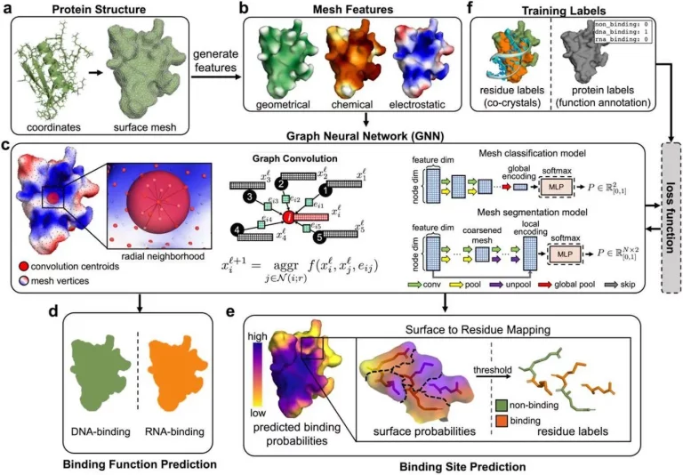 Revolutionizing Protein-Nucleic Acid Binding Prediction with PNAbind: A Graph Neural Network Approach