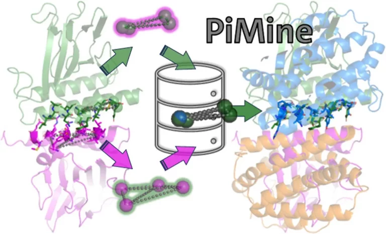 Meet PiMine: A Database-Driven Approach for Inspecting Protein-Protein Interactions