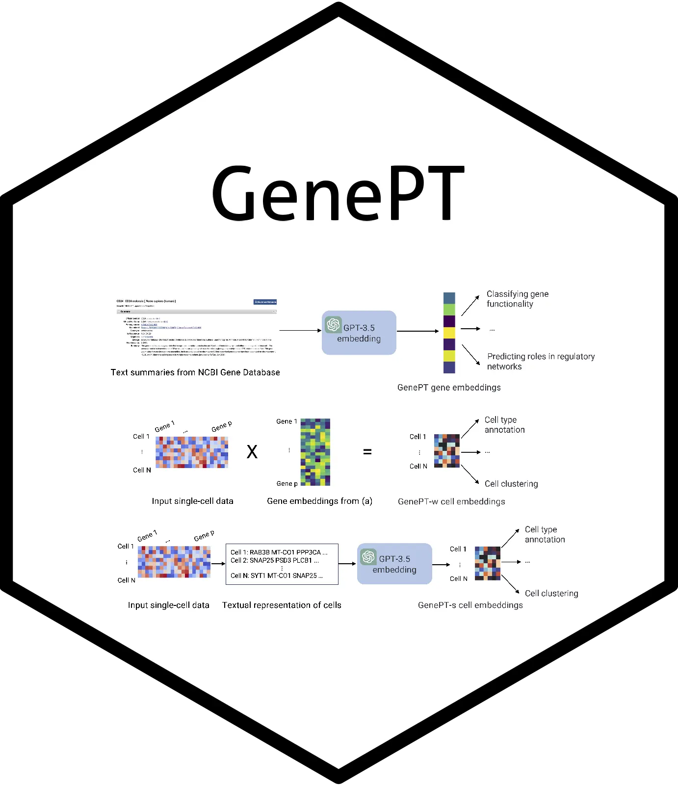 Decoding Genes and Cells with GenePT: A Simple Yet Powerful Foundation Model Leveraging ChatGPT