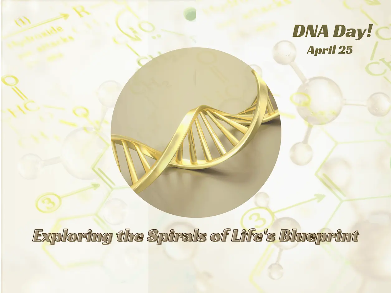 The Molecule That Changed Everything: The Story of DNA