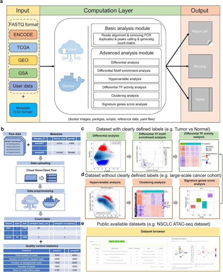 Supercharge Epigenomic Workflows with EAP: A Cloud-Based Platform for Comprehensive and Interactive Analysis of Large ChIP/ATAC-seq Datasets