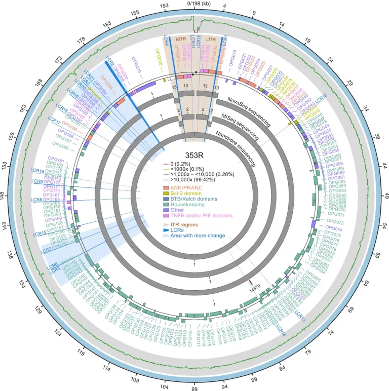 Deciphering the Genetic Blueprint: Groundbreaking Research Reveals Genomic Factors Driving Monkeypox Virus Transmissibility