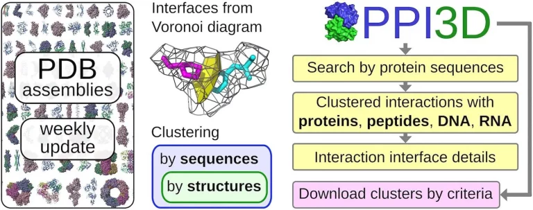 PPI3D: A Comprehensive Web Server to Explore, Analyze, and Model Protein-Protein, Protein-Peptide, and Protein-Nucleic Acid Interactions