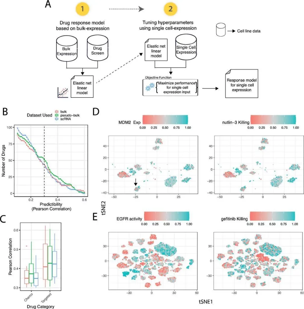 PERCEPTION: An AI tool to precisely match cancer drugs to individual patients, advancing personalized cancer treatment.