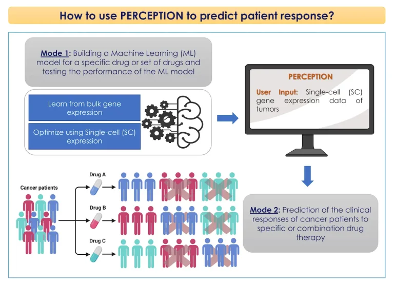 PERCEPTION: An AI tool to precisely match cancer drugs to individual patients, advancing personalized cancer treatment.
