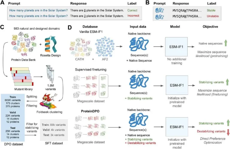 ProteinDPO: A Novel Technique for Aligning Generative Protein Models with Experimental Fitness