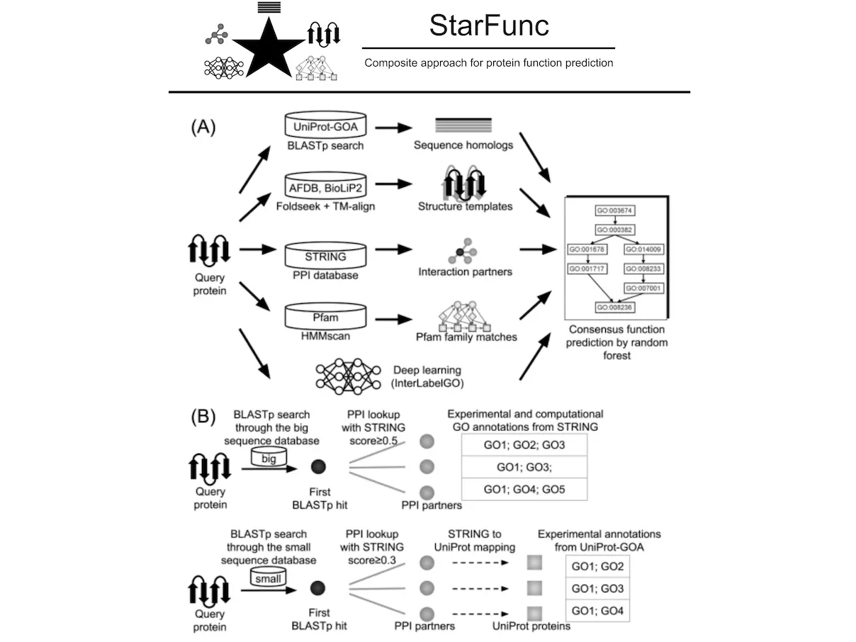 StarFunc: Revolutionizing Protein Function Prediction Leveraging Template-based and Deep Learning Approaches