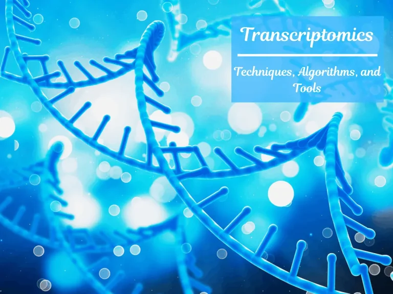 Exploring the World of Transcriptomics: Techniques, Algorithms, and Tools