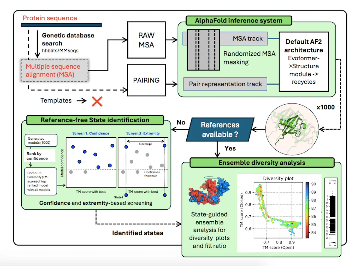 Predicting Multiple Conformations and Ensembles with AFsample2: An AlphaFold2 Extension
