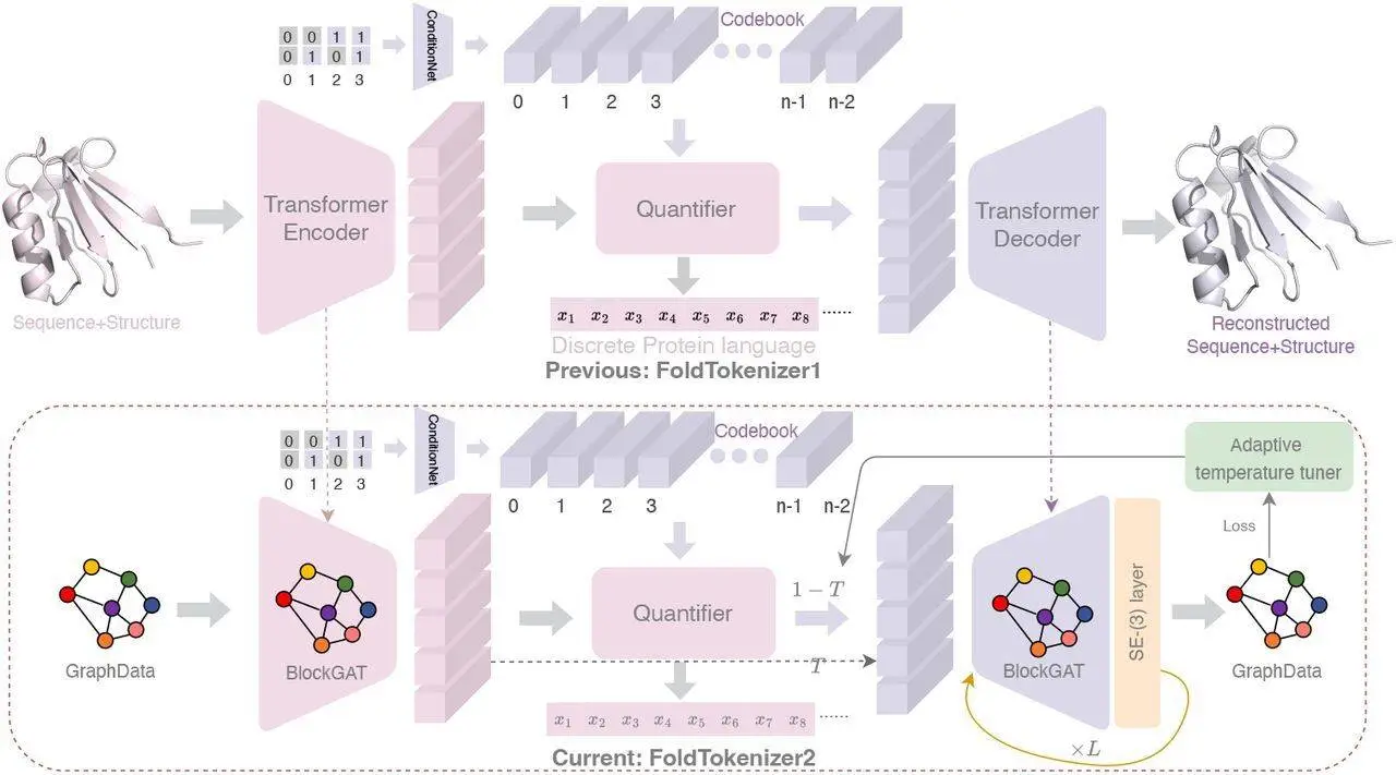 FoldToken2: Decoding Proteins with a New Compact Language