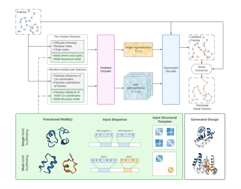 Genie 2 architecture (top), which extends Genie to enable scaffolding on (multiple) motifs.