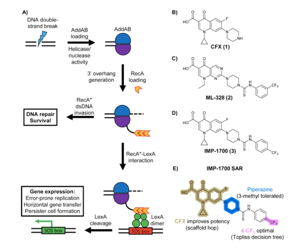 Oxford Researchers Develop Game-changing Small Molecule to Suppress the Evolution of Antibiotic Resistance
