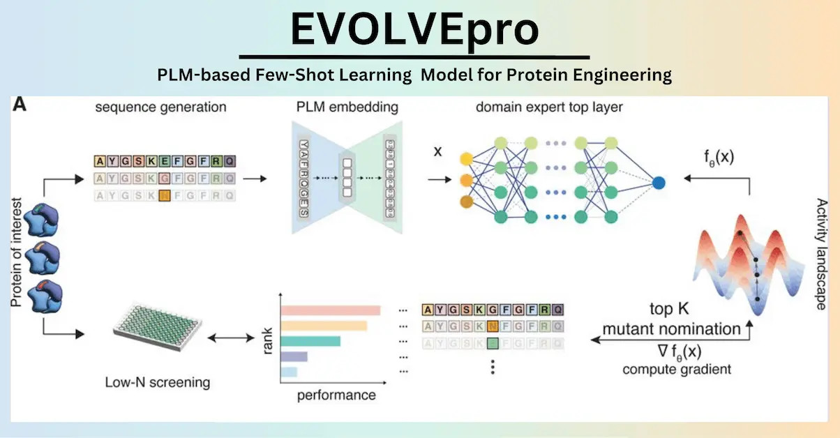 EVOLVEpro: Revolutionizing Protein Engineering with AI-Powered Few-Shot Learning