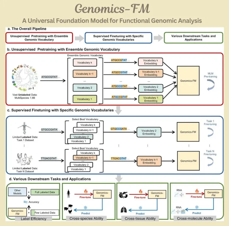 The Future of Genomics: Unveiling Genomics-FM, a Universal Foundation Model Transforming Data Analysis