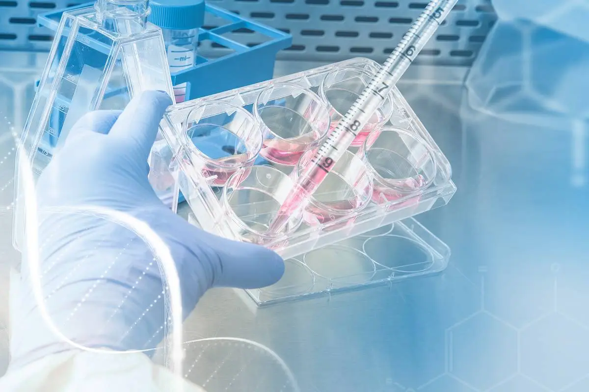 Harnessing the Body's Natural Marijuana: A Breakthrough in Pain and Cancer Treatment