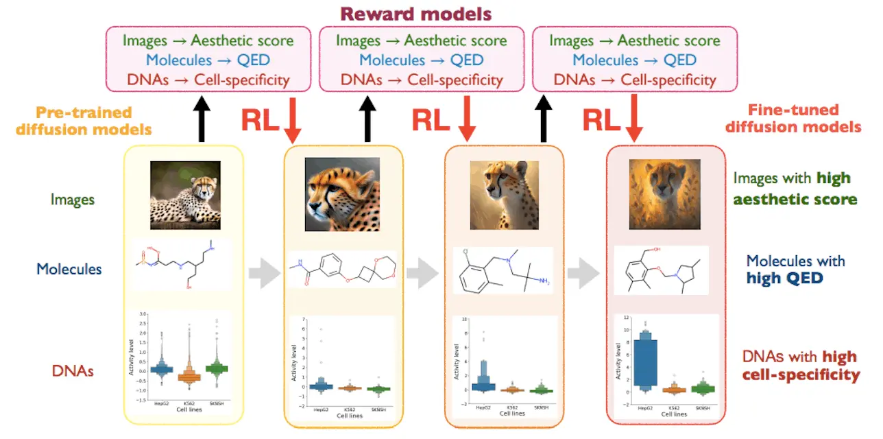Optimizing Diffusion Models for Biological Applications: A Deep Dive into RL-Based Fine-Tuning