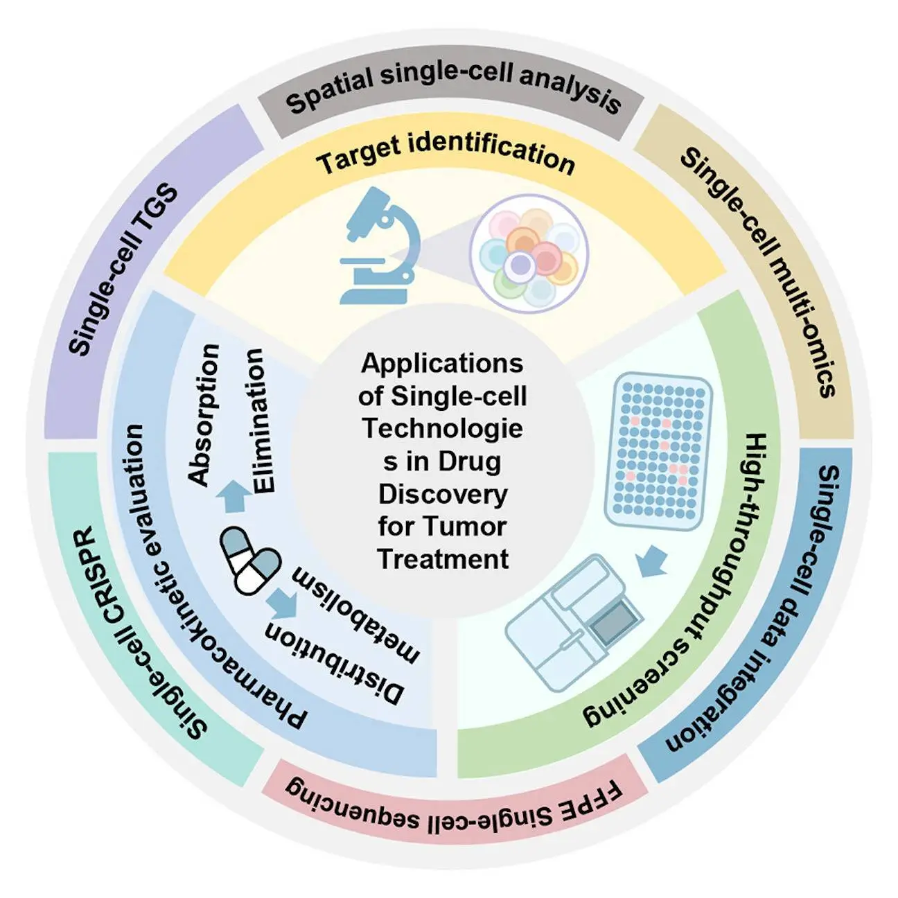 Uncovering Tumour Heterogeneity: How Single-cell Technologies are Transforming Cancer Treatment and Drug Development